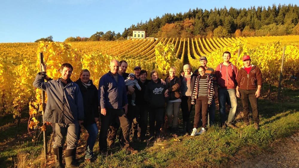 Folkene hos Weingut Bauer i vinmarken. Foto: Weingut Bauer.