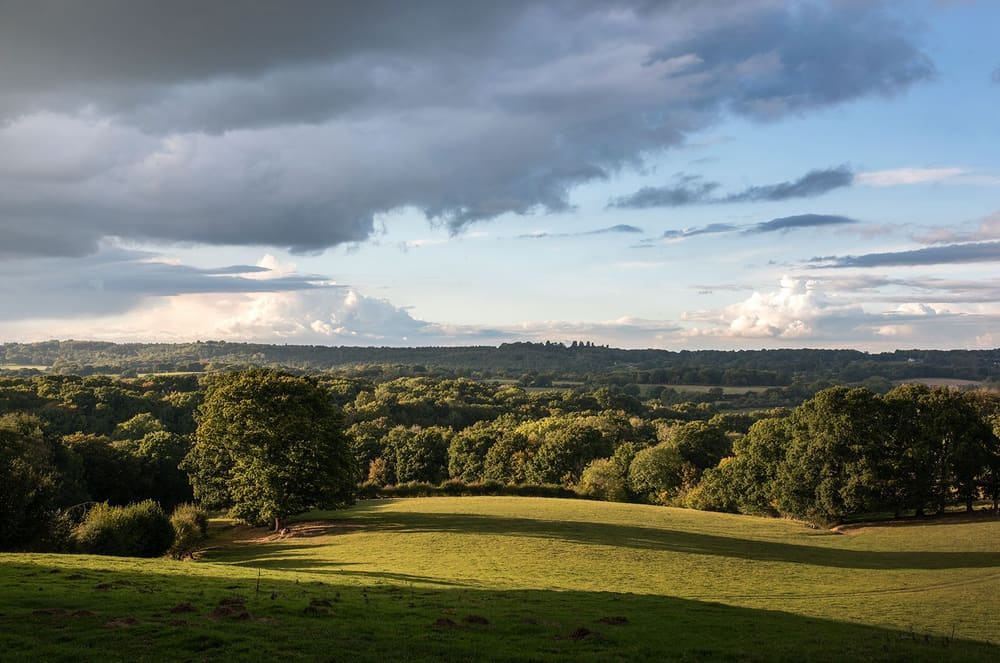 Utsikten over East Sussex fra Mountfield. Foto: Mountfield Winery.