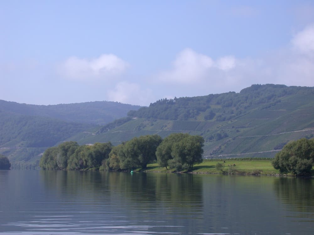 Moseldalen ved Paulinshof. Foto: Weingut Paulinshof.