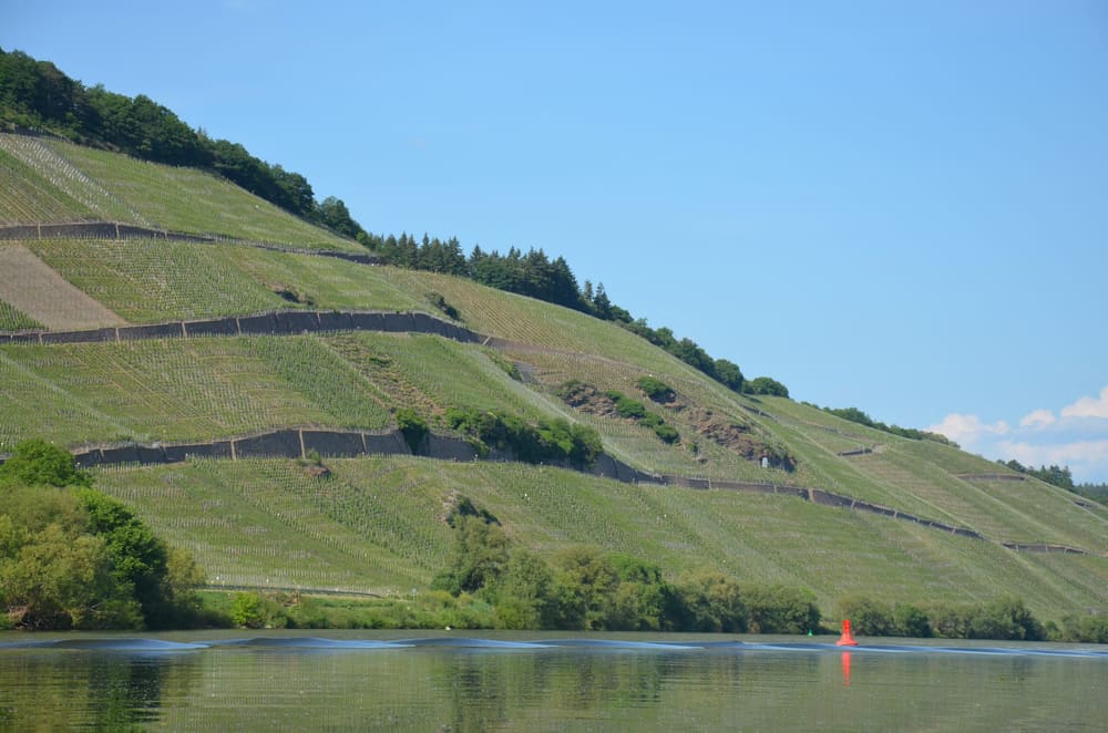 Vinmarkene langs Mosel ved Brauneberg. Foto: Weingut Paulinshof.