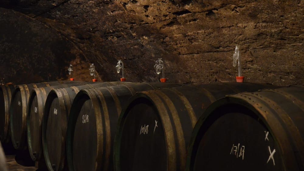 Kjelleren med trefat hos Paulinshof. Foto: Weingut Paulinshof.