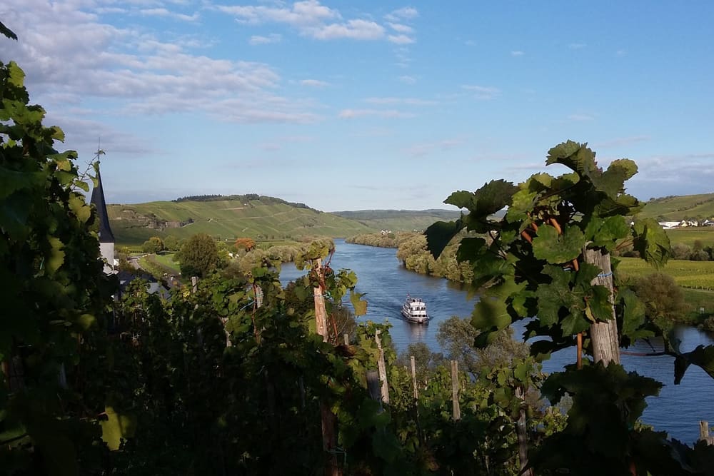 Moselen sett fra vinmarkene til Paulinshof. Foto: Weingut Paulinshof.