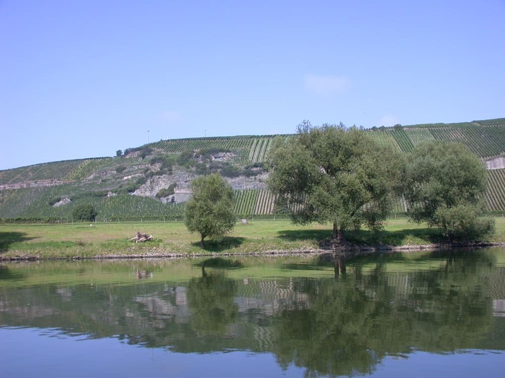 Vinmarkene ved Mosel, sett fra elva. Foto: Weingut Paulinshof.